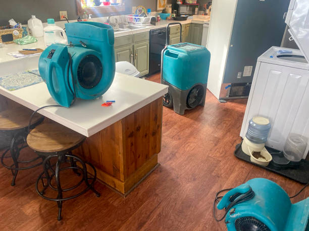 Best Commercial water damage restoration  in Southport, NC