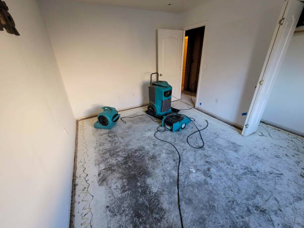 Best Water damage restoration experts  in Southport, NC