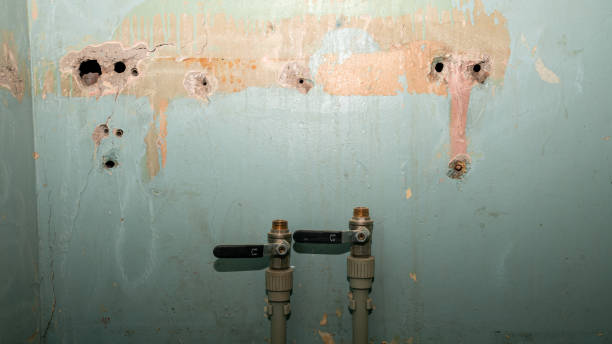  Southport, NC Water damage restoration Pros