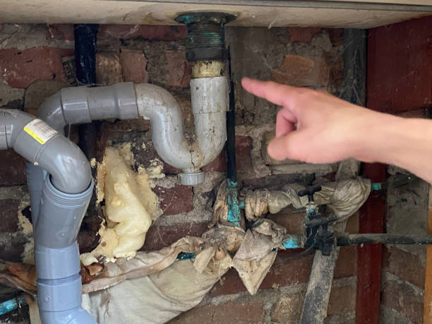 Best 24-hour water damage restoration  in Southport, NC